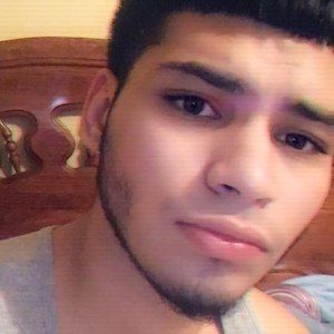 Meet your Posher, Joe